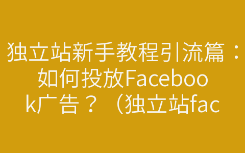 独立站新手教程引流篇：如何投放Facebook广告？（独立站facebook广告推广）